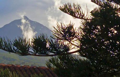 São Roque do Pico Azores Youth Hostels - Pico מראה חיצוני תמונה